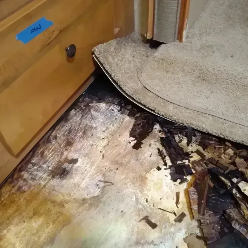 Wood Floor Water Damage in Paramus, NJ